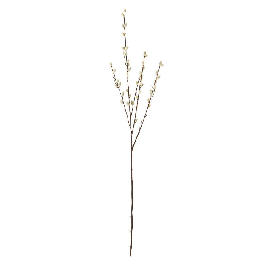 Gray Pussy Willow Stem - 31"