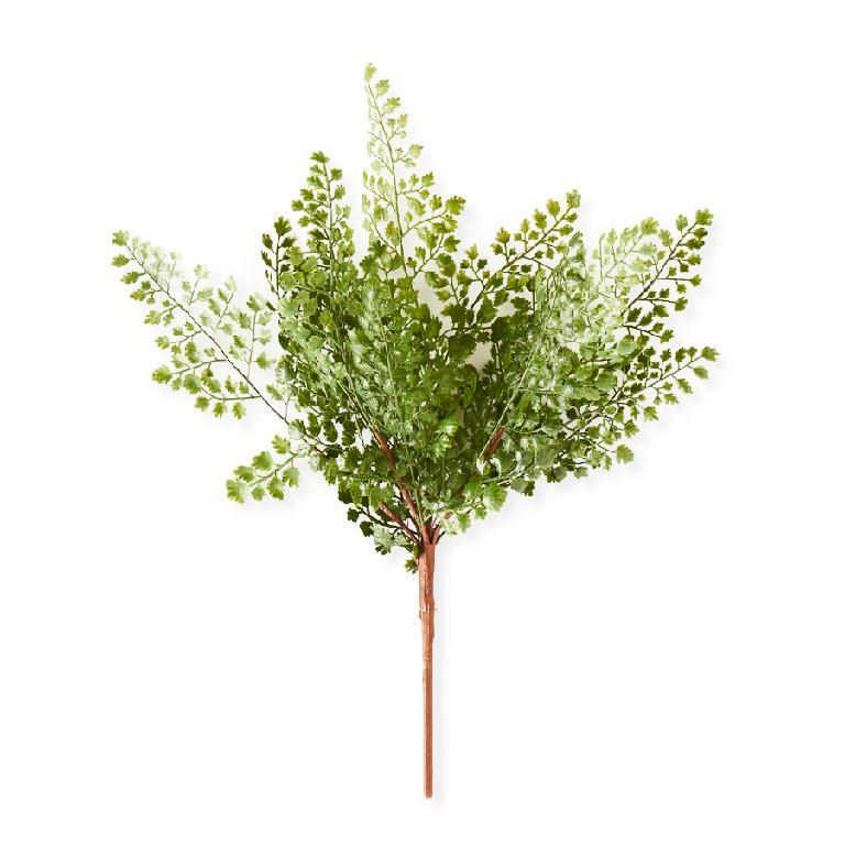 Maidenhair Fern Spray - 16"