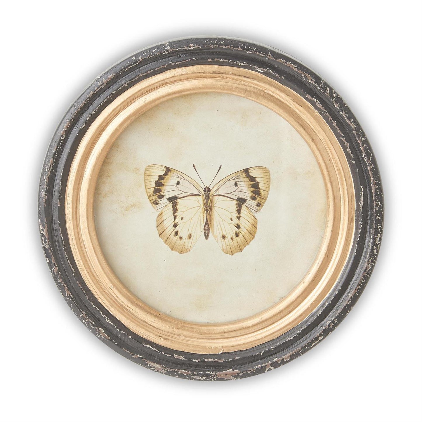 Black and Gold Framed Butterfly Prints - Round, 9.5"