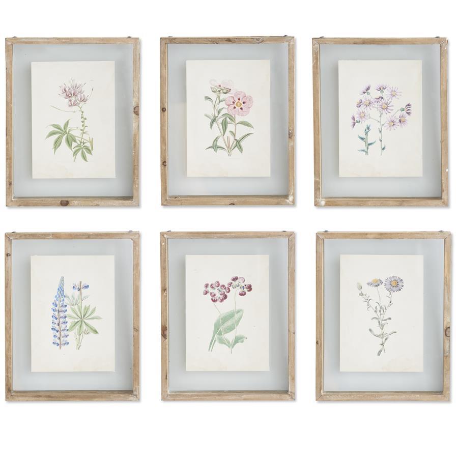 Shadowbox Framed Botanical Print - 10" Assorted Styles