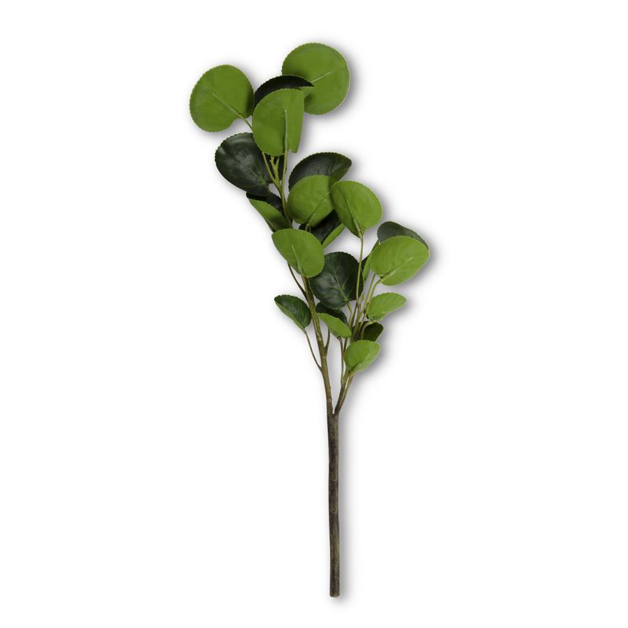 Eucalyptus Stem with 2 Branches - 16"