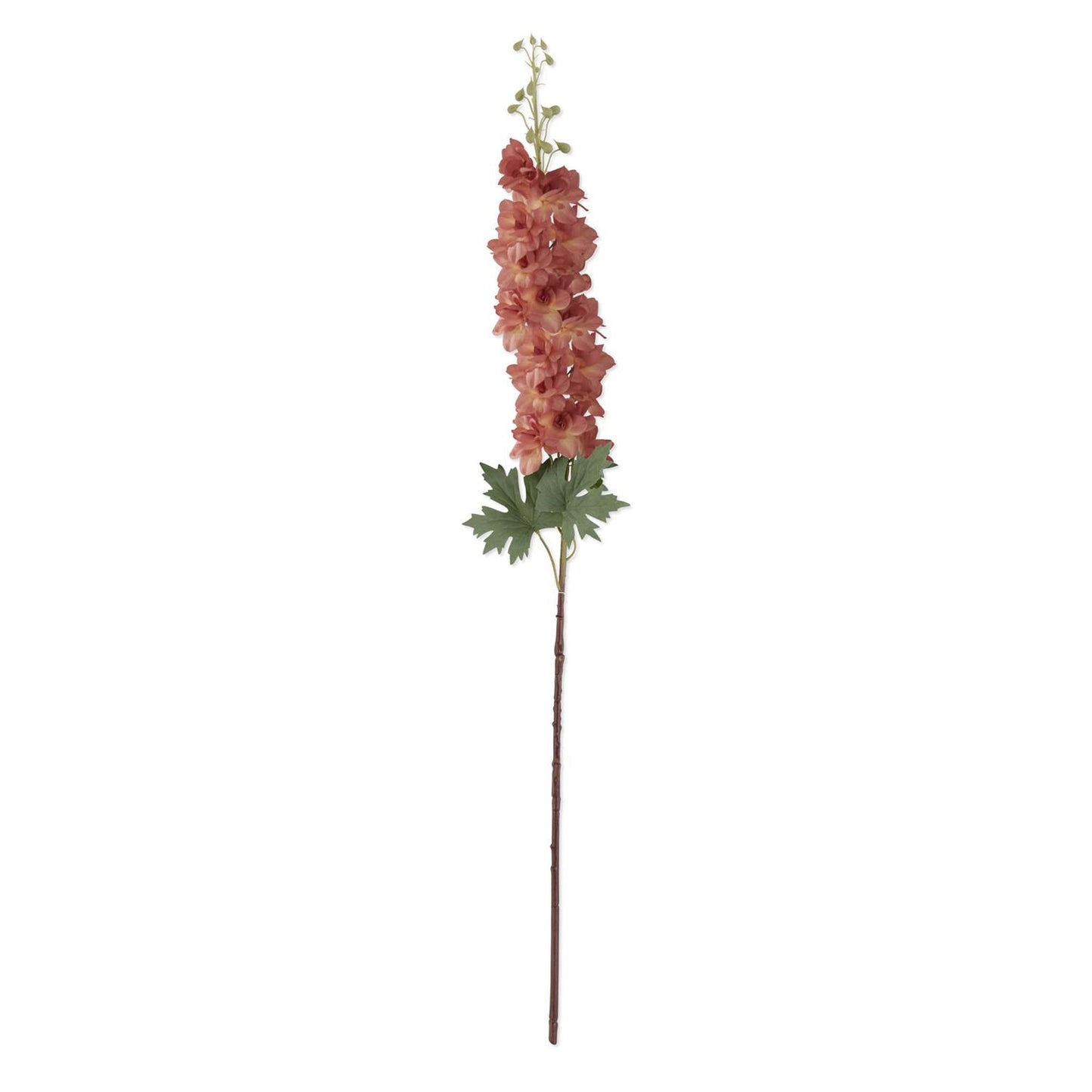 Delphinium Stem - Peach, 37"