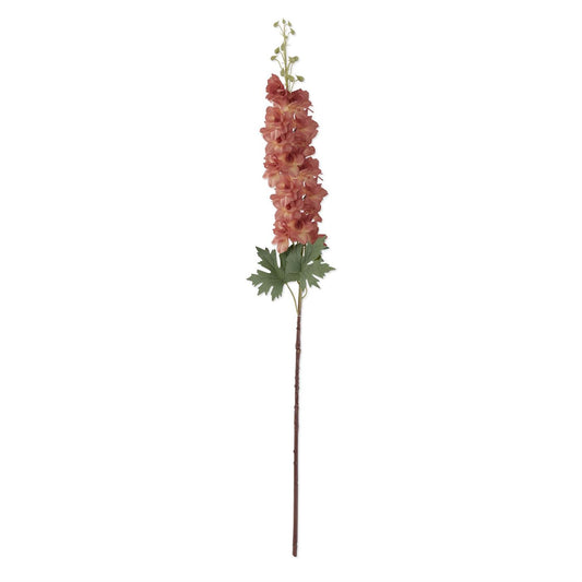 Delphinium Stem - Peach, 37"