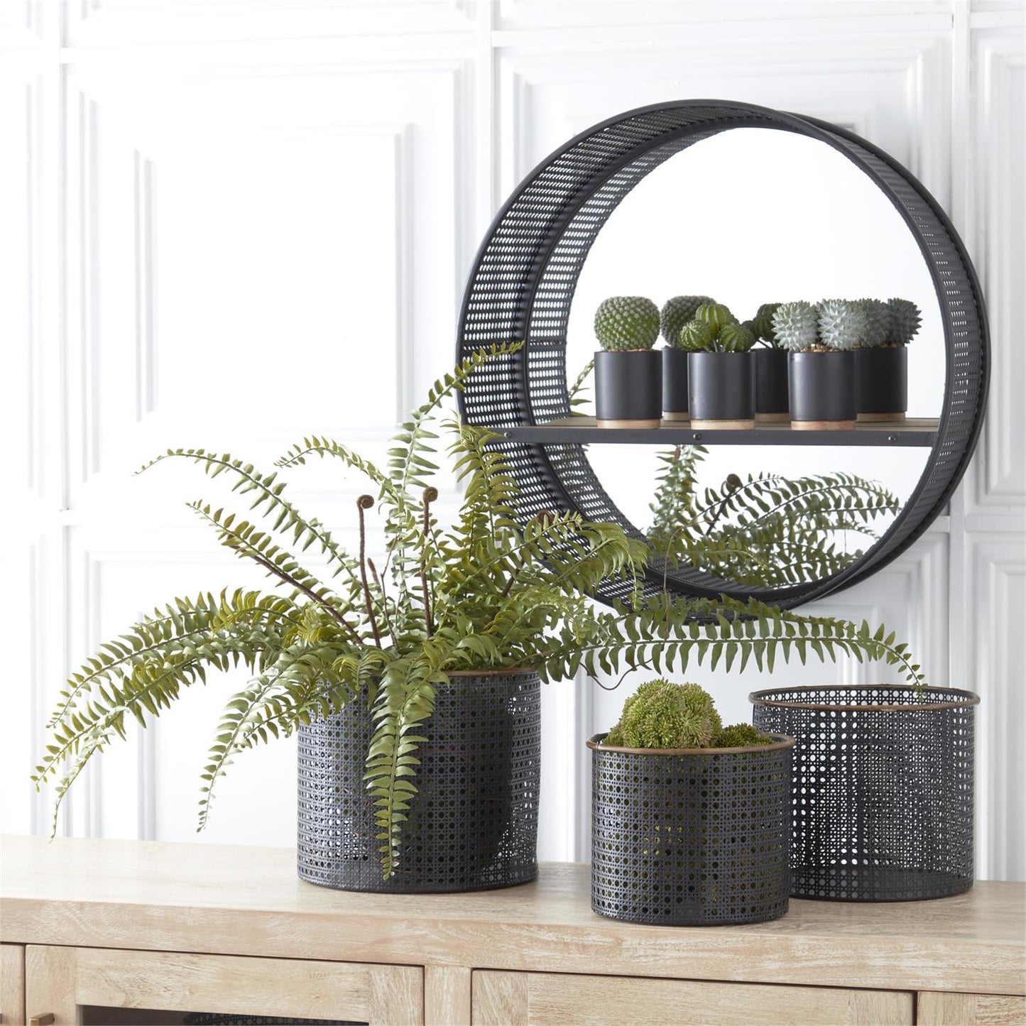 Cactus in Ceramic Matte Black Pot with Natural Wood Base - 3 Assorted Styles