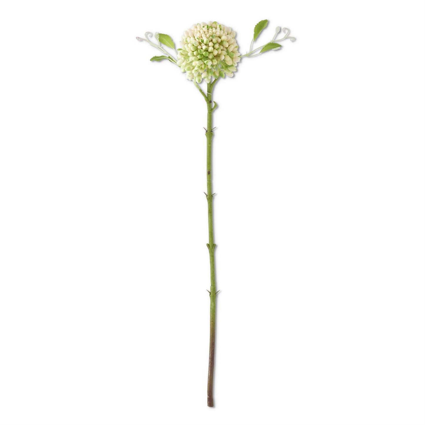 Real Touch Sedum Stem - Cream, 20"