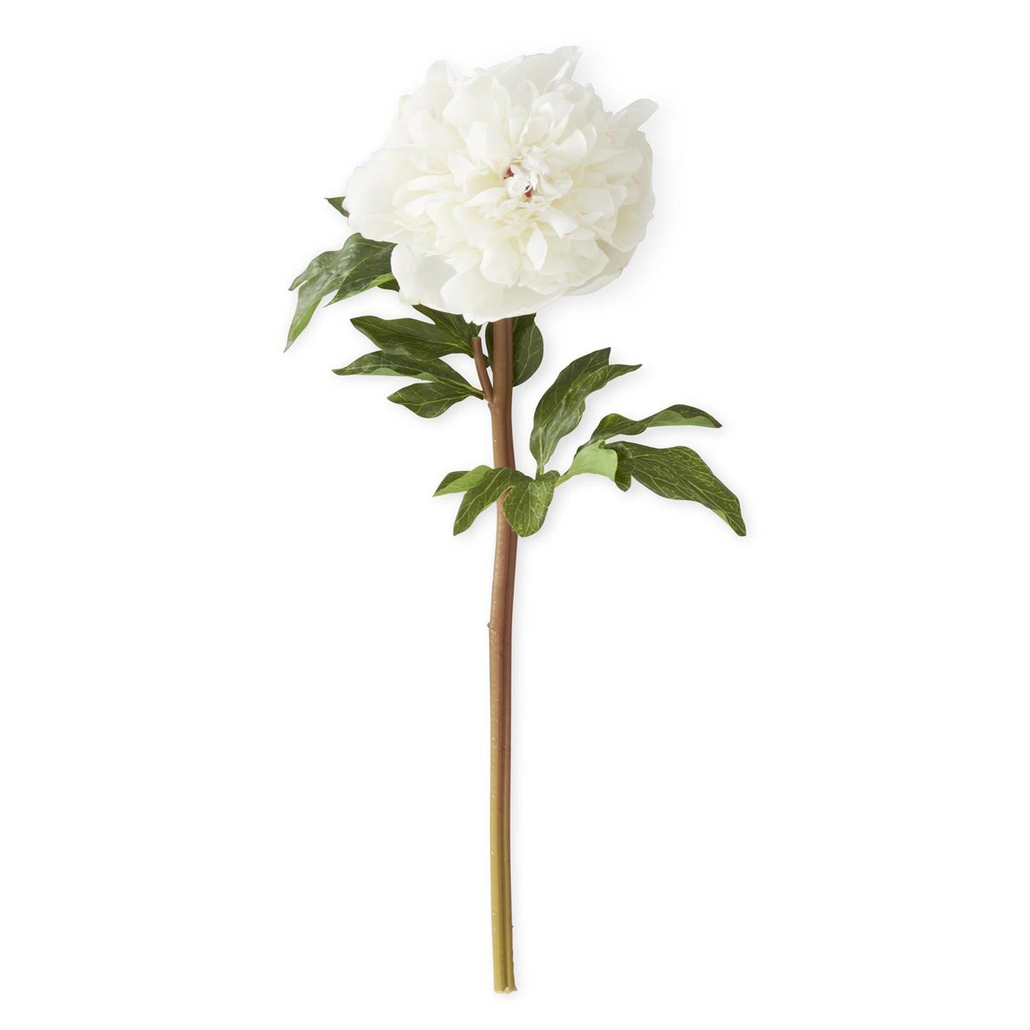 Real Touch Charm Peony Stem - White, 21.5"