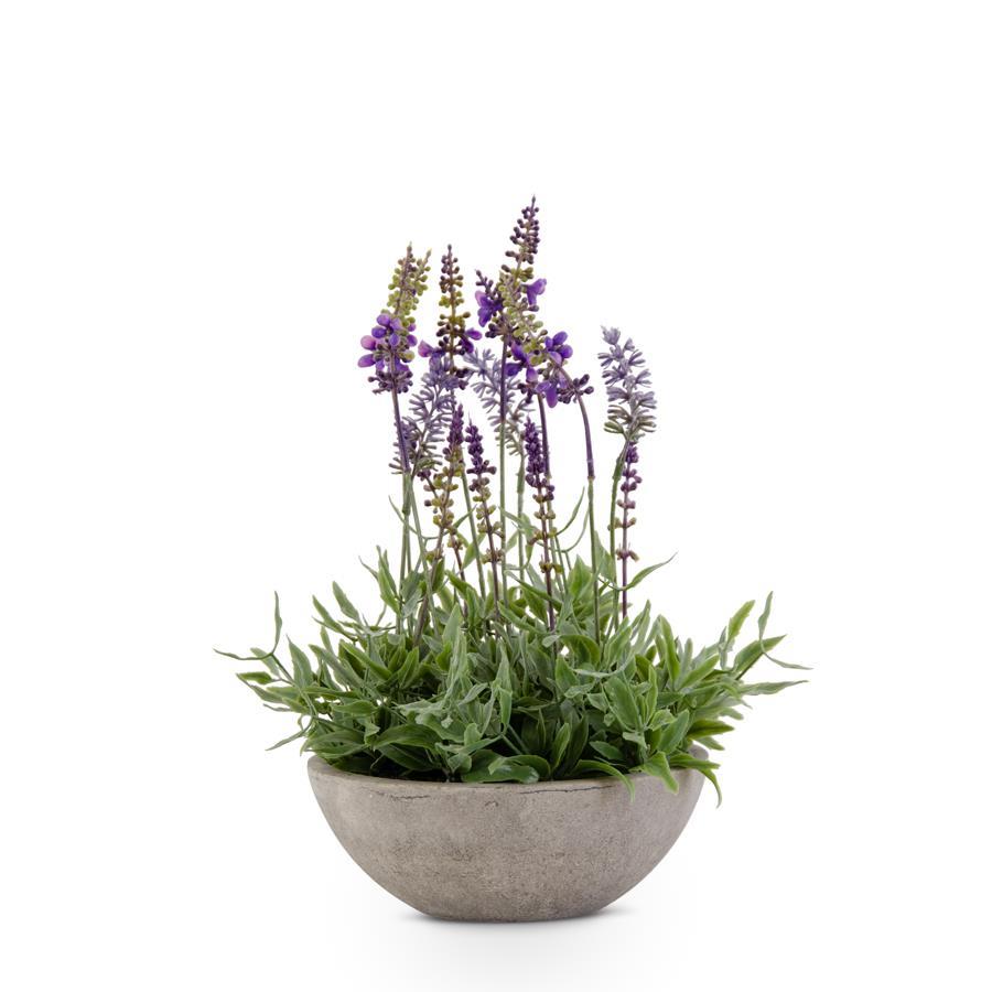 Purple Lavender in Gray Bowl - 13"