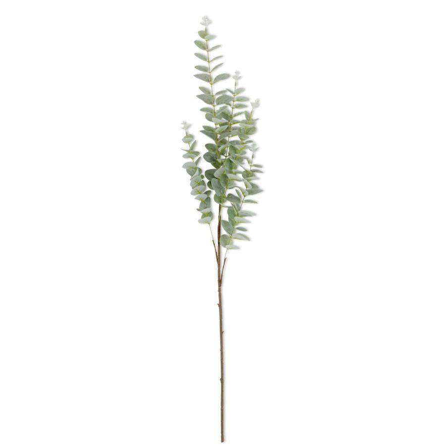 Light Green Gunnii Eucalyptus Stem - 38"