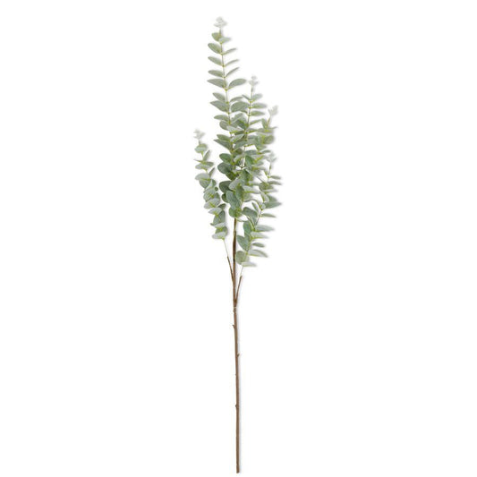 Light Green Gunnii Eucalyptus Stem - 38"