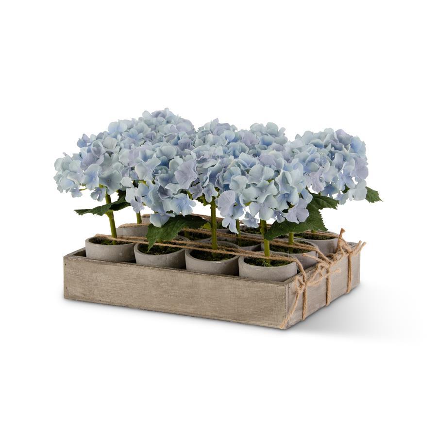Potted Blue Hydrangea - 7"