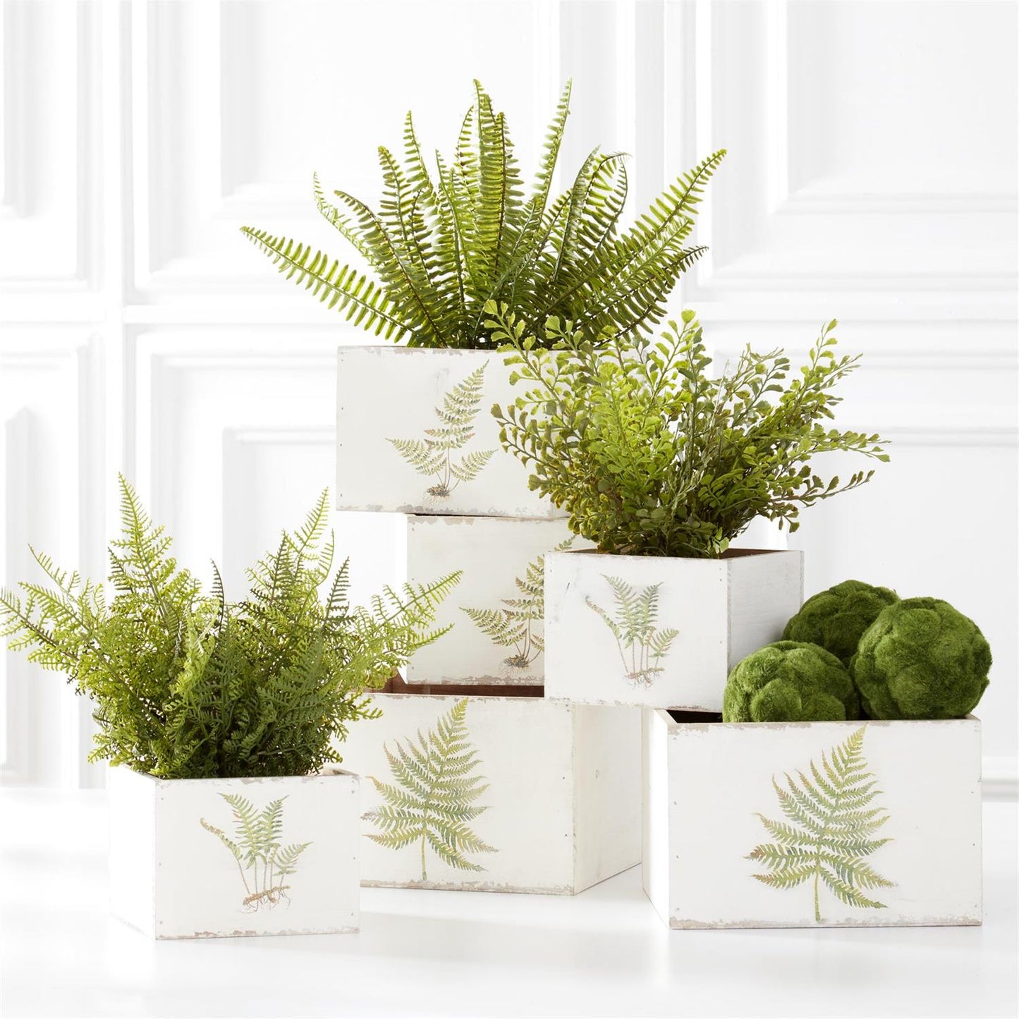 Ferns in Round Woven Basket - 3 Assorted Styles.