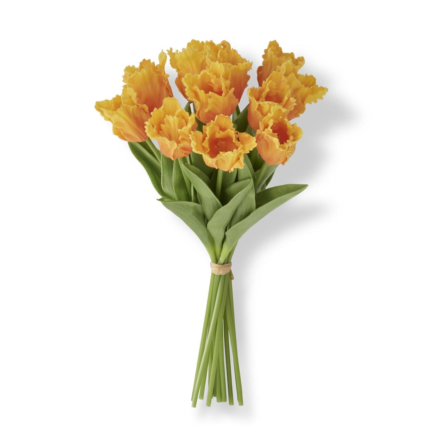 Real Touch Parrot Tulip Bundle with 12 Stems - Light Orange, 13"