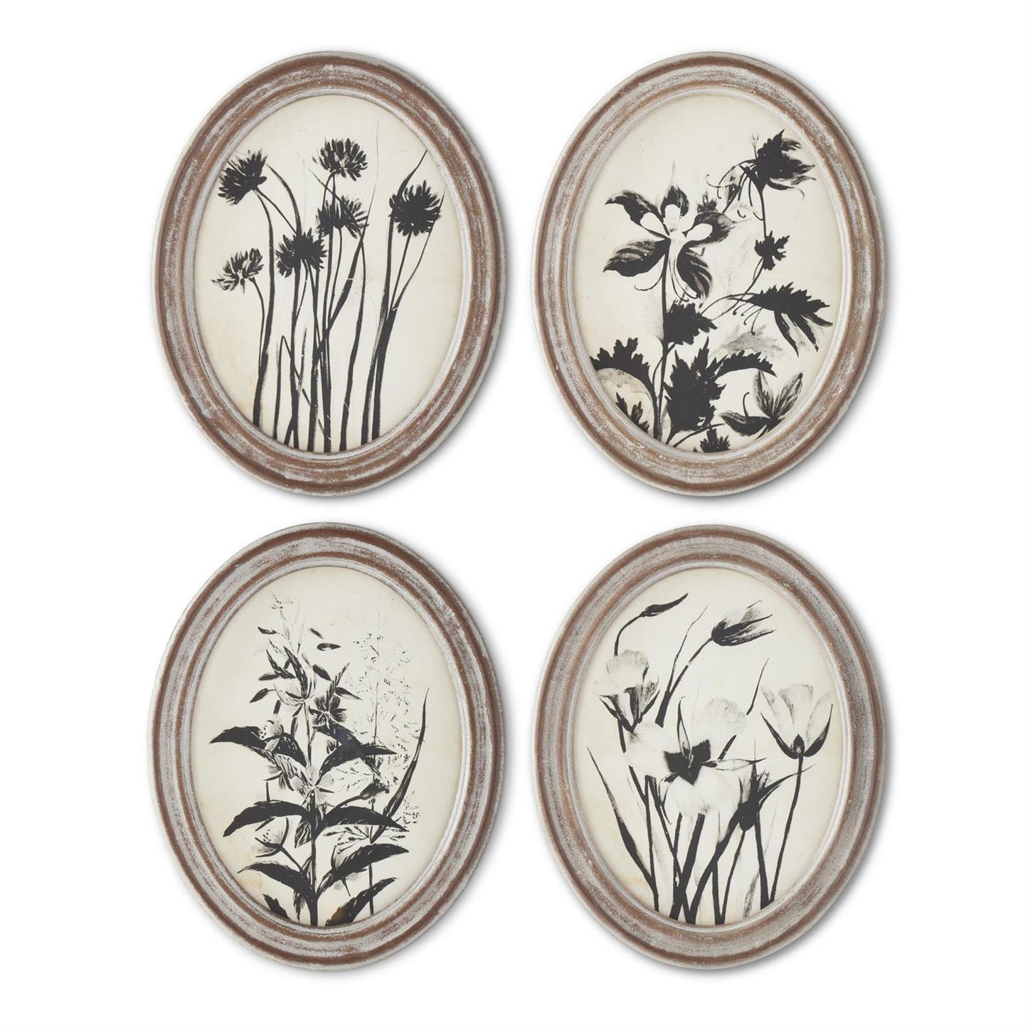 Wood Framed Oval Black and White Botanical Prints - 13.75", 4 Assorted