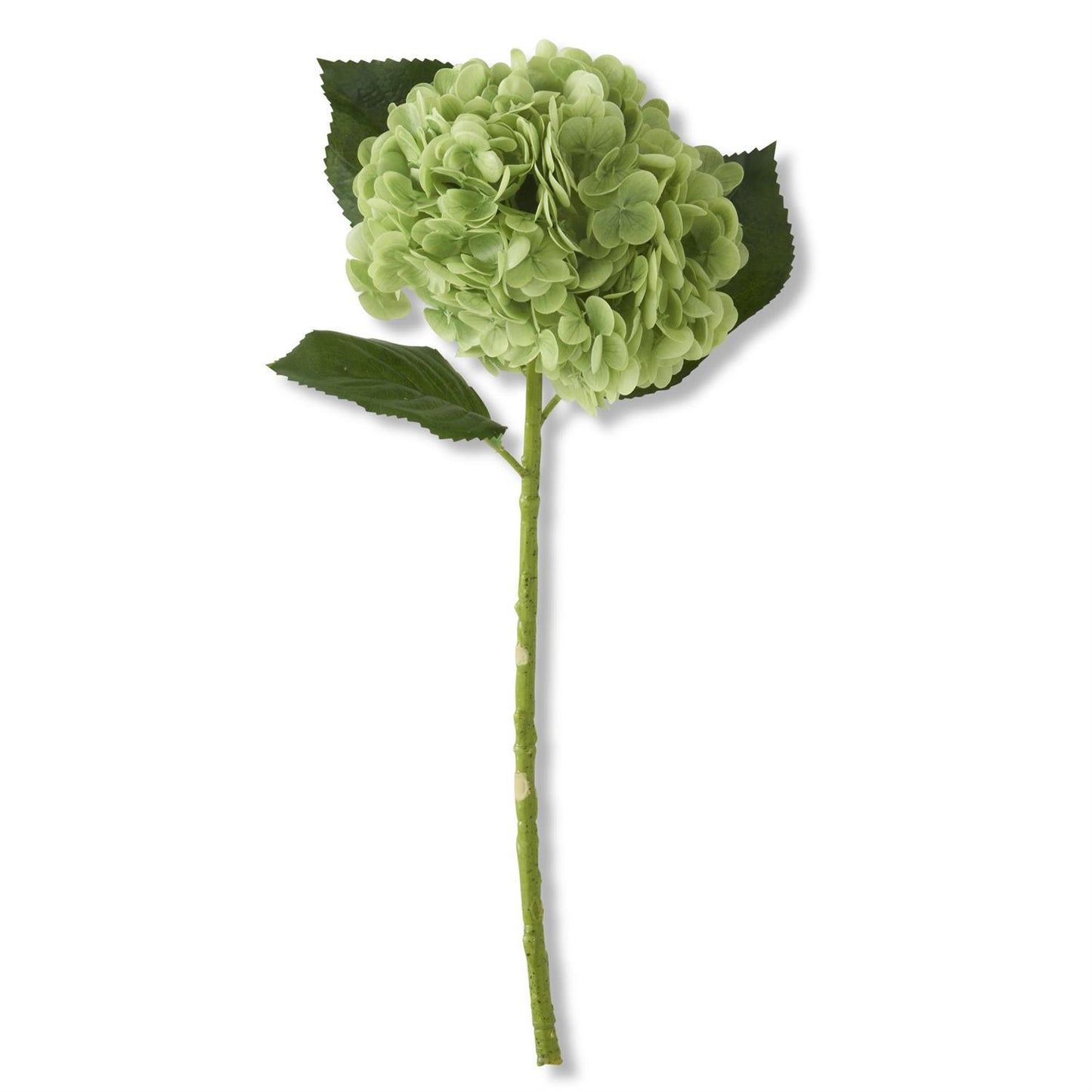 Real Touch Hydrangea Stem - Green, 20"