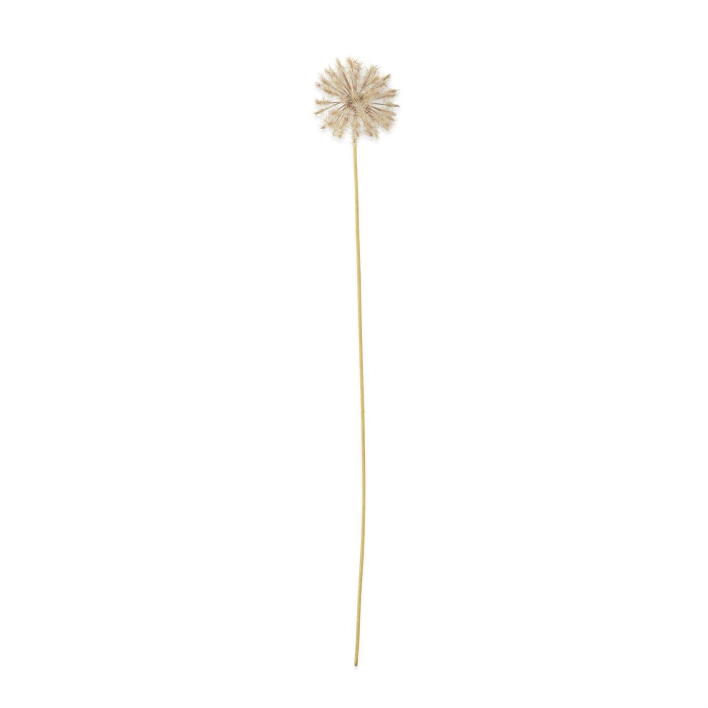 Dandelion Stem - 30"