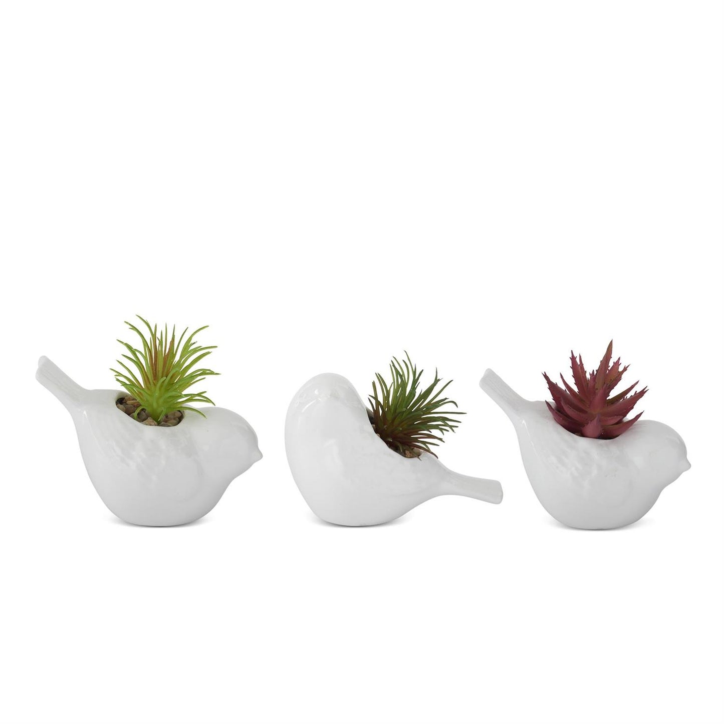 White Ceramic Birds with Succulents - 3", 3 Assorted Styles