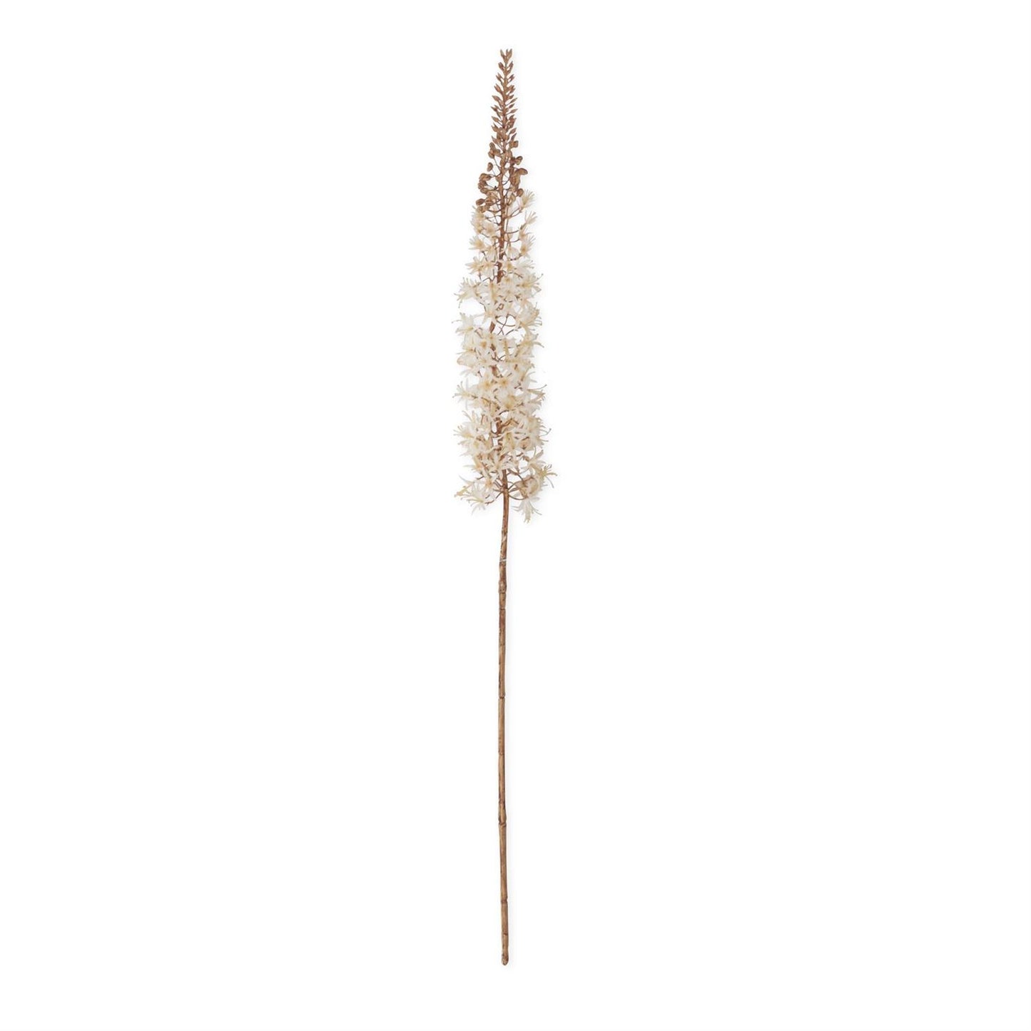 Cream Fox Tail Lily Stem - 46"