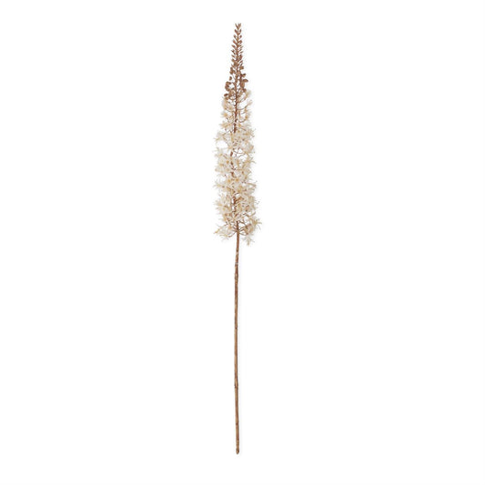 Cream Fox Tail Lily Stem - 46"