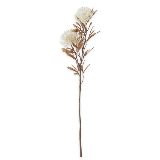 White Spikey Cactus Dahlia Stem - 29.5"