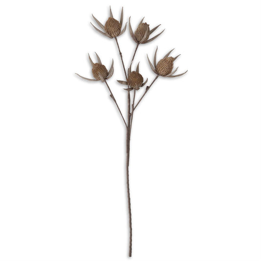 Tan & Gray Eva 5 Bloom Stem - 42"