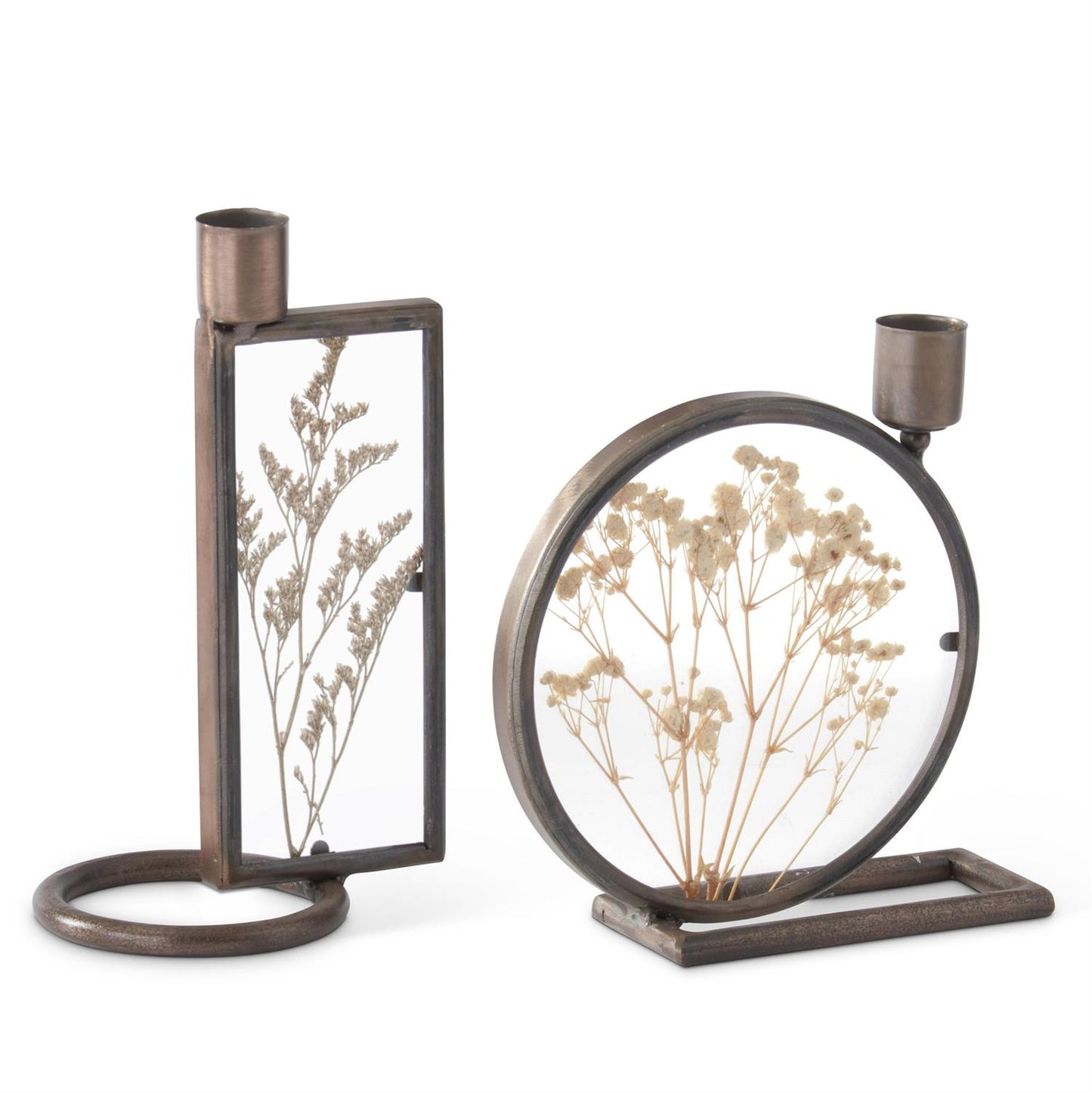 Round Dried Floral Display Taper Candleholder - 5.75"