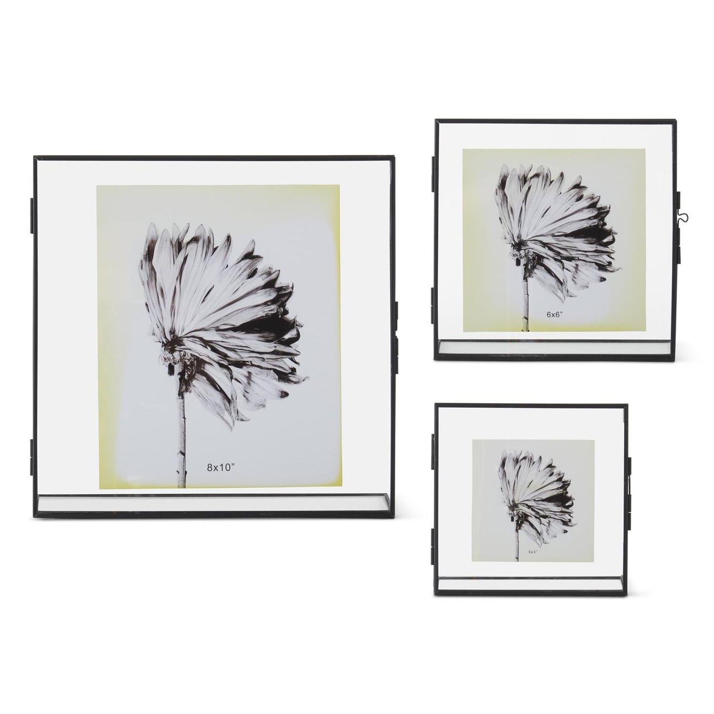 Thin Black Metal & Glass Photo Frame - 8"