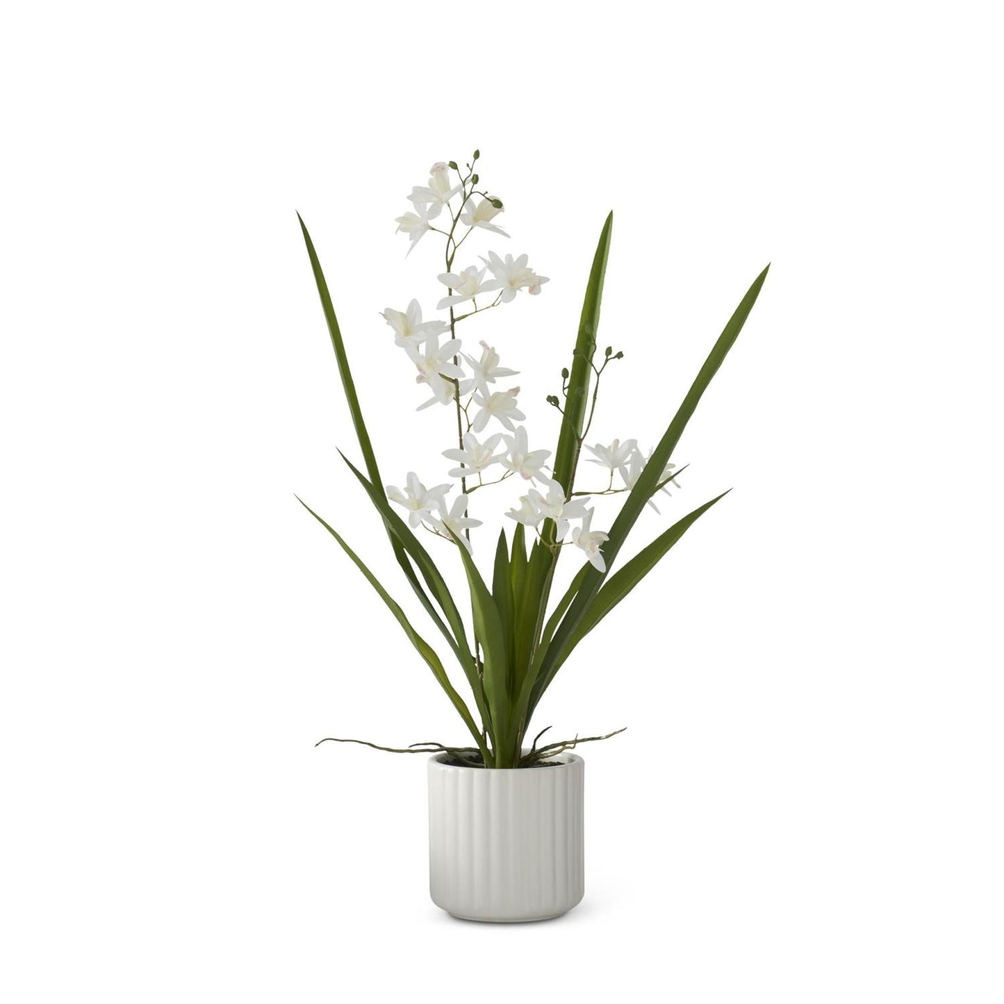 Real Touch White Orchid in White Ribbed Ceramic Pot - 21.75"