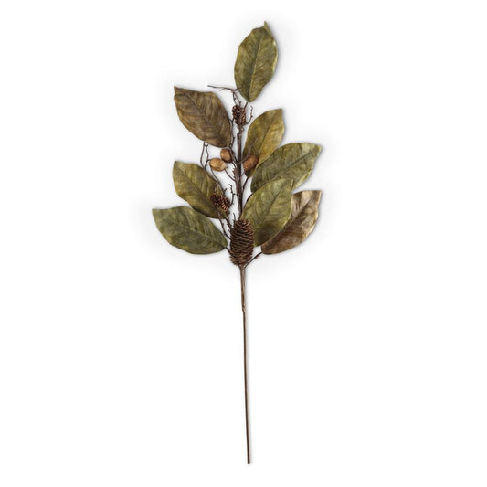 Magnolia Pinecone and Nut Stem - 32"