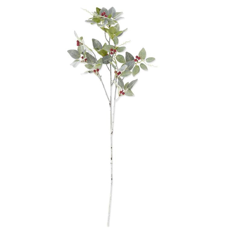 Glittered and Flocked Fittonia Stem with Red Berries - 36"