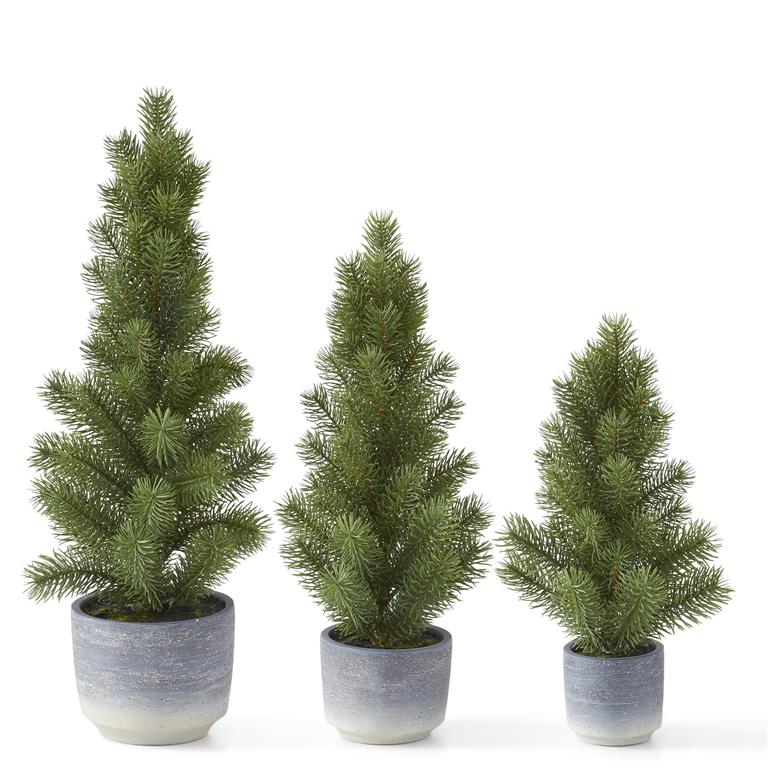 Pine Tree In Gray Ombre Pot - 15"