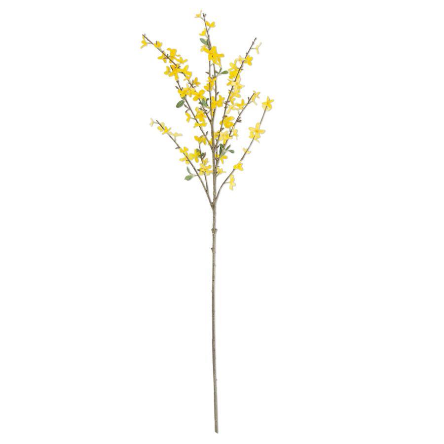Forsythia Stem - 44"