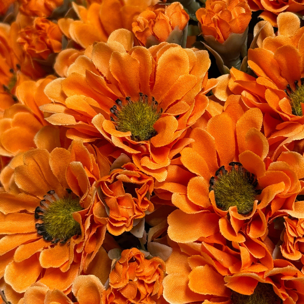 Orange Mum Bush - 15"