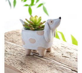 Dog Planter - Small, Ceramic