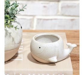 Beige Whale Planter - 4"