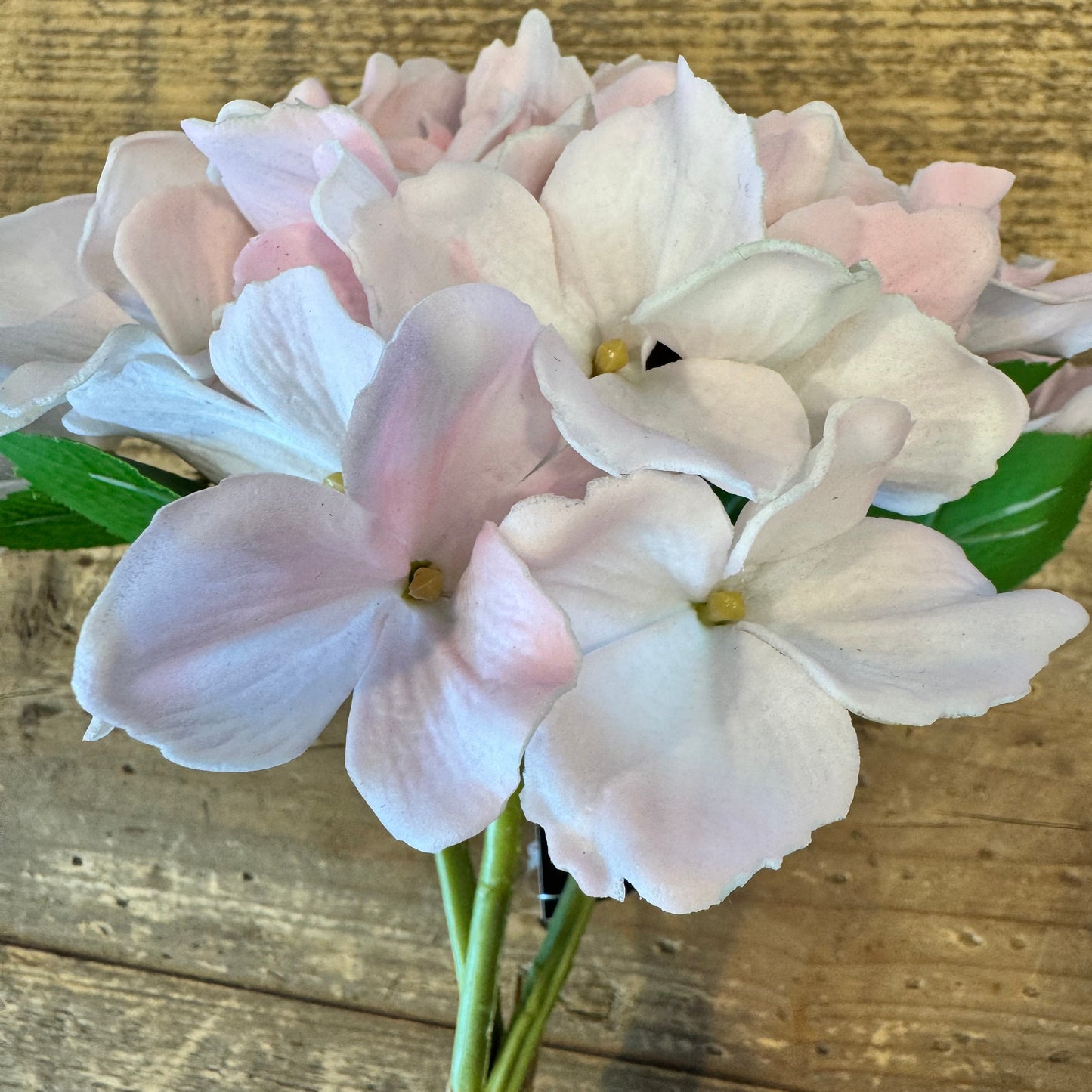 Light pink hydrangea bundle