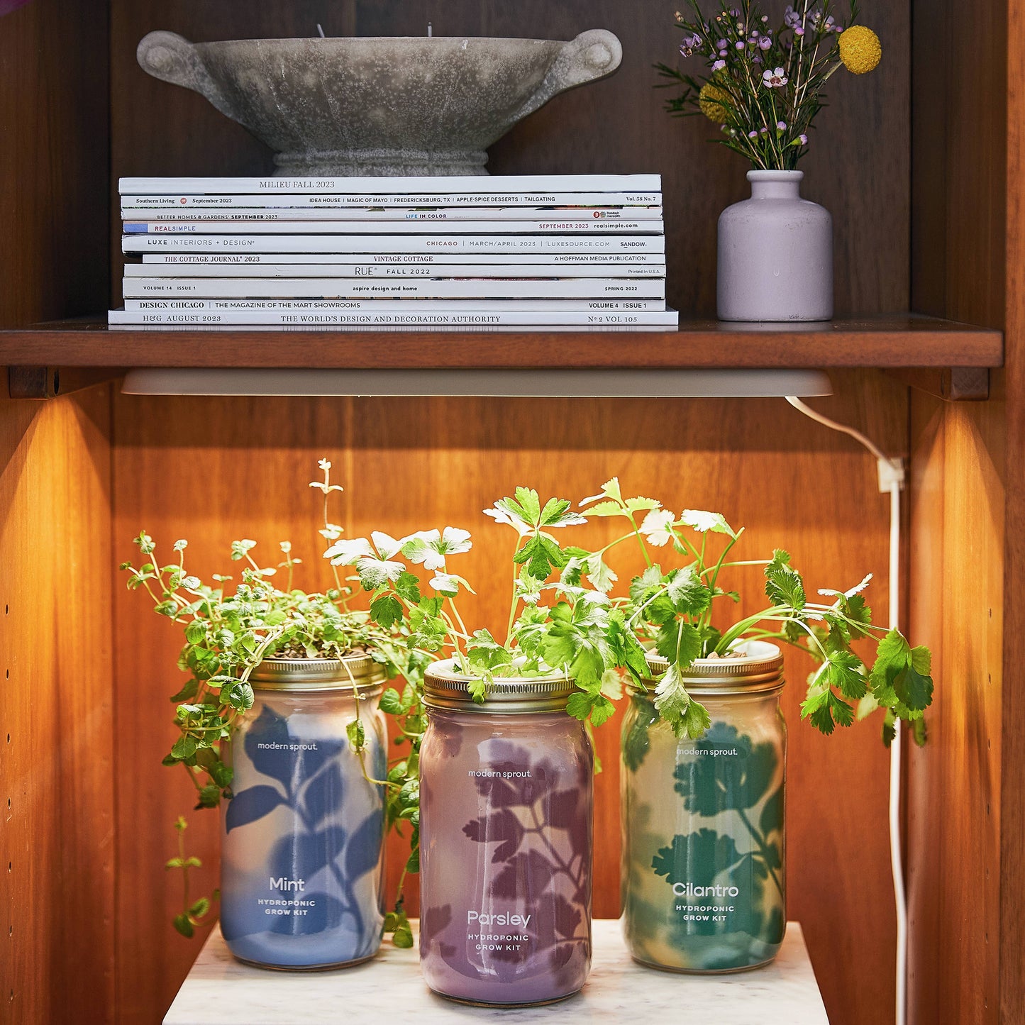 Herb Garden Jar: Rosemary