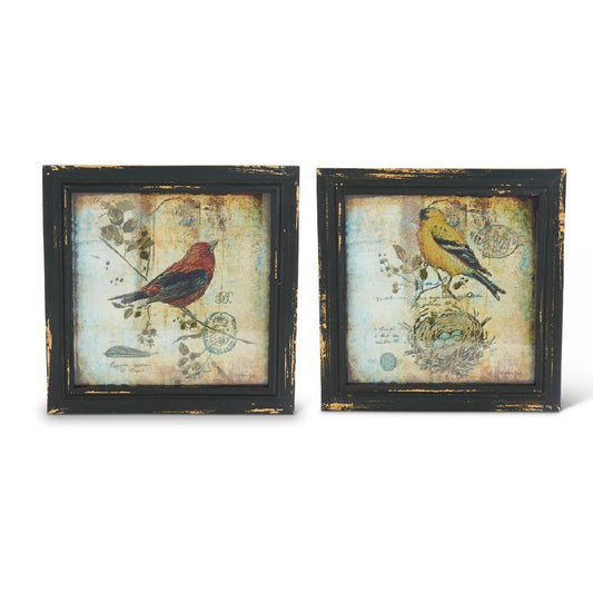 Bird Prints, 10" Assorted Square Frames