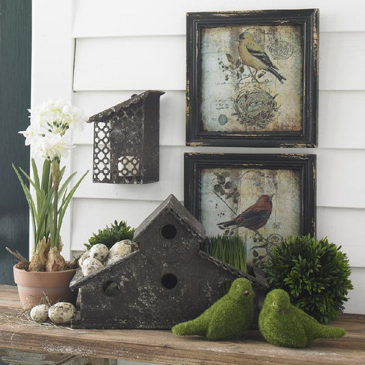 Bird Prints, 10" Assorted Square Frames