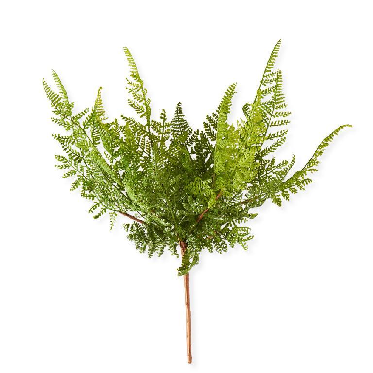 Curly Aspidiaceae Fern Spray - 16"