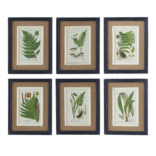 Black Framed Fern Print - 6 Assorted Styles