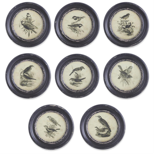 Round Black Framed Bird Prints - 8 Assorted Styles, 9.75"