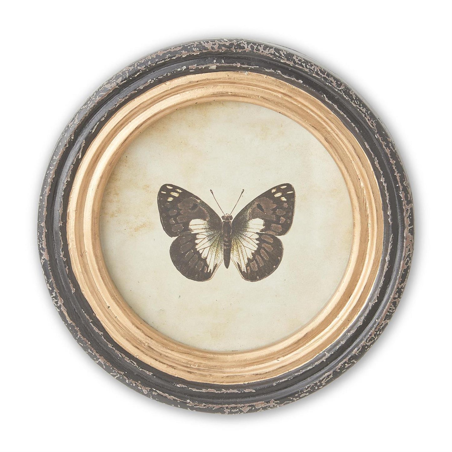 Black and Gold Framed Butterfly Prints - Round, 9.5"