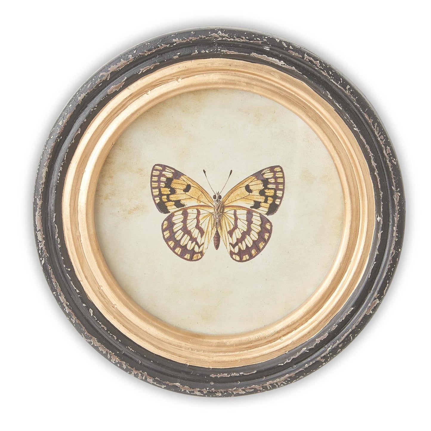 Black and Gold Framed Butterfly Prints - Round, 9.5"
