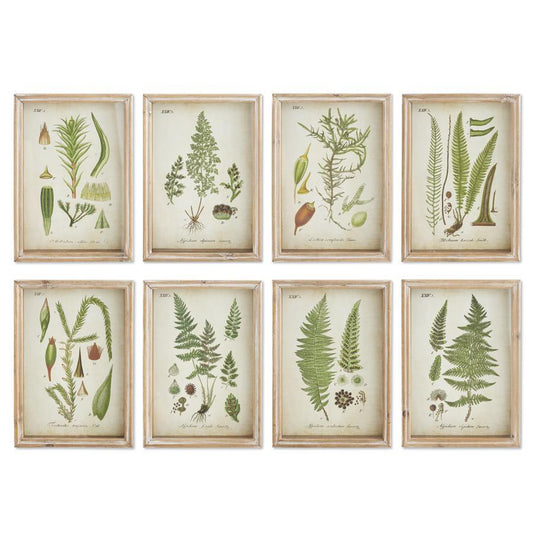 Botanical Prints in Wood Frames - 13.5", 8 Assorted Styles