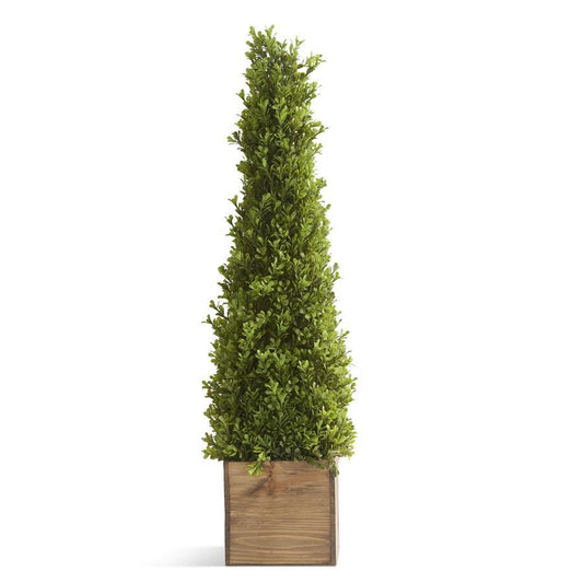 Boxwood Cone Tree In Natural Wood Square Container - 33"