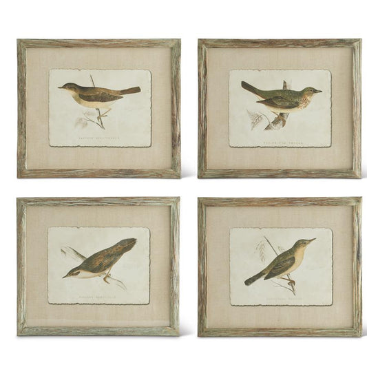 Patina Bois Wood Framed Bird Prints - 4 Assorted Styles, 26.75"