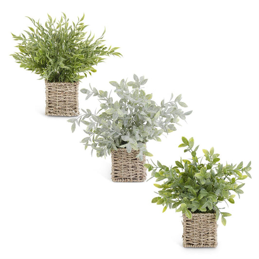 Herbs in Square Woven Baskets - 3 Assorted Styles, 12"