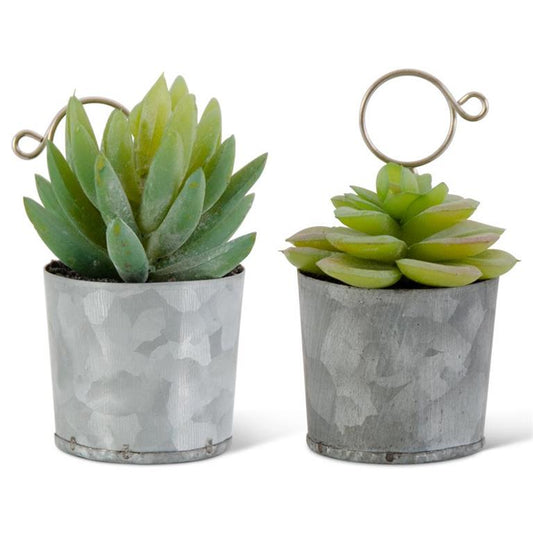 Assorted Succulent in Tin Pot Place Card Holders- 2 Styles