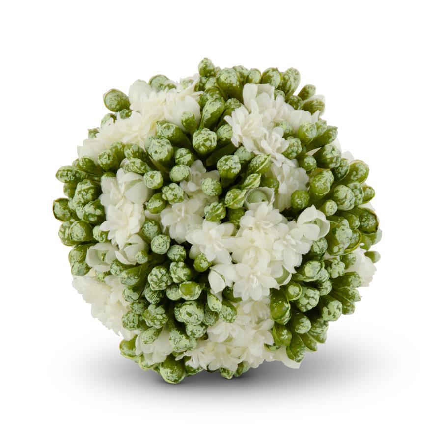 Kalanchoe Ball - White, 4"