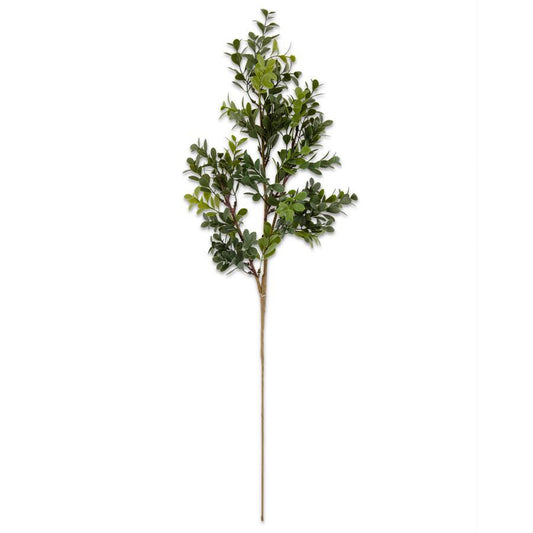 Boxwood Spray - 28"